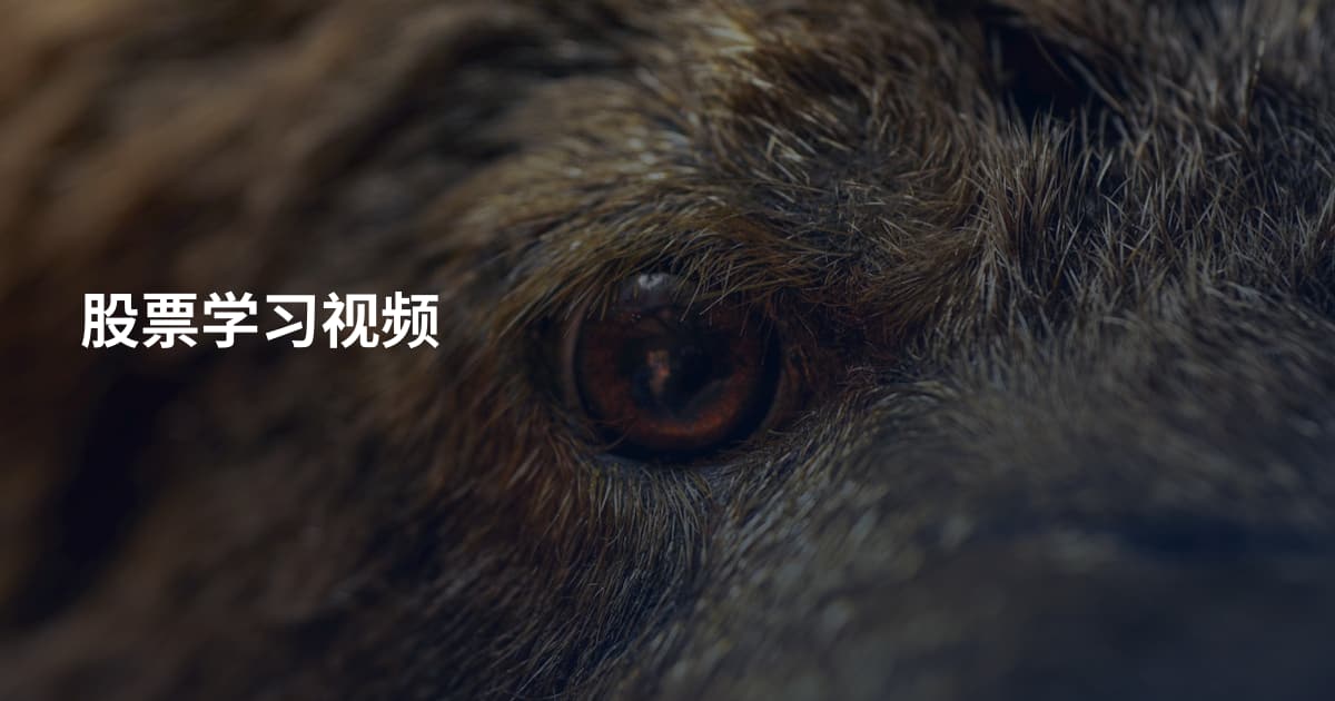 股票学习视频