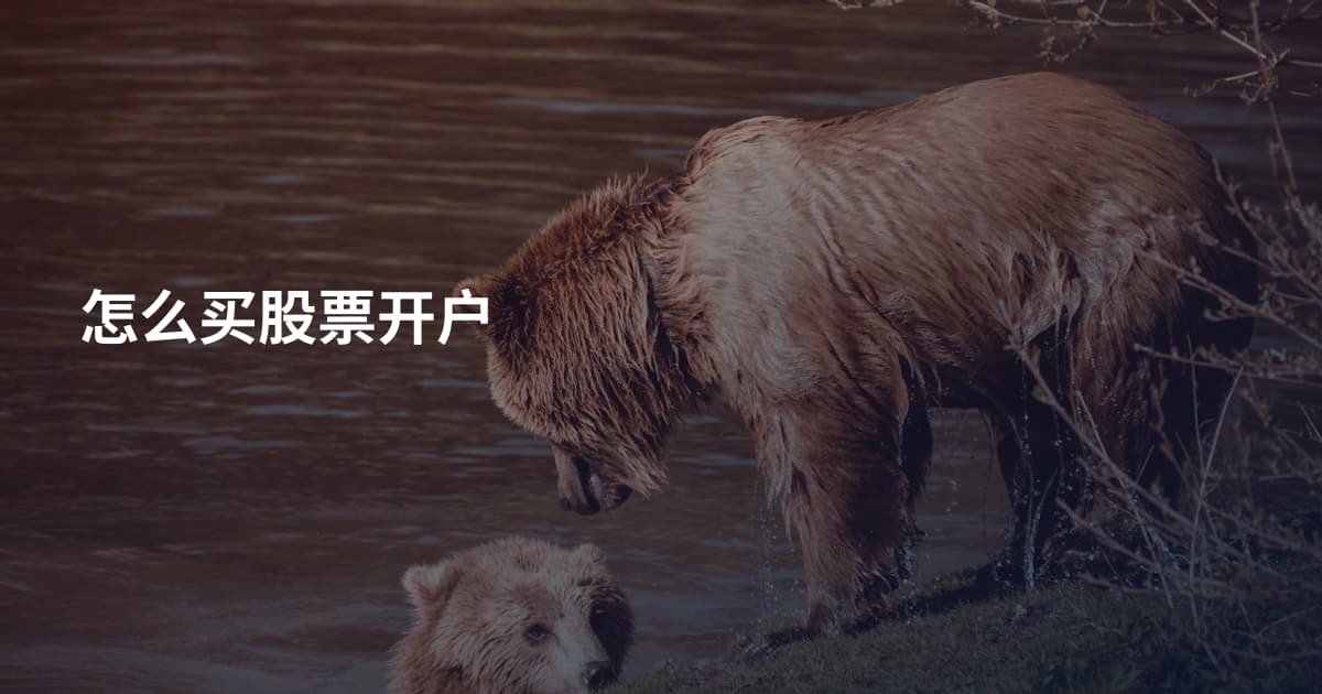 怎么买股票开户