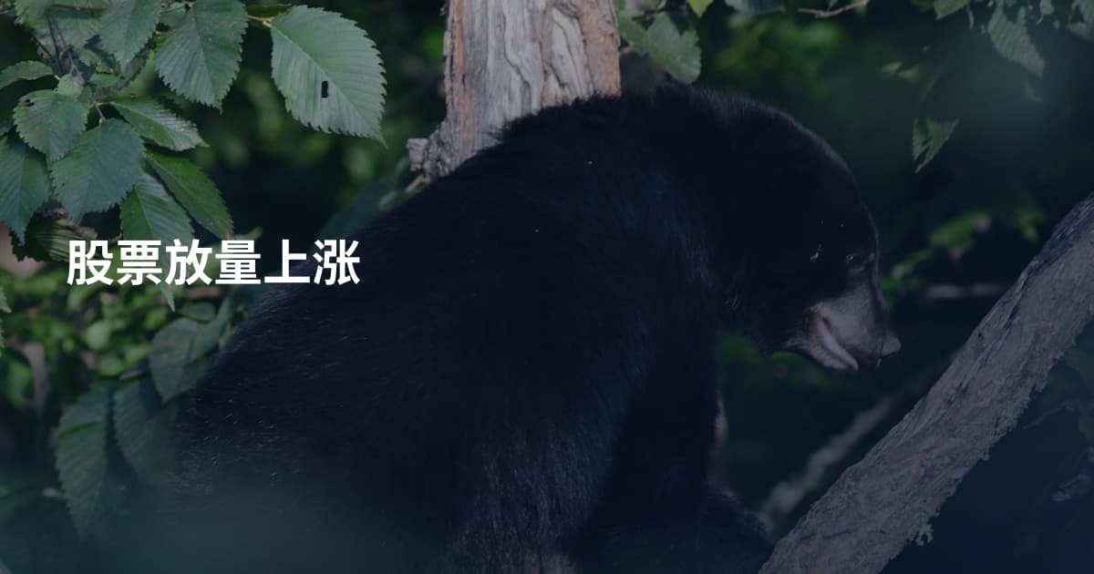 股票放量上涨