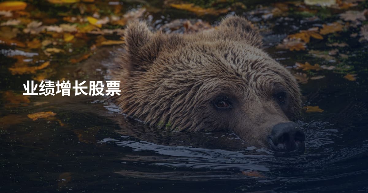业绩增长股票