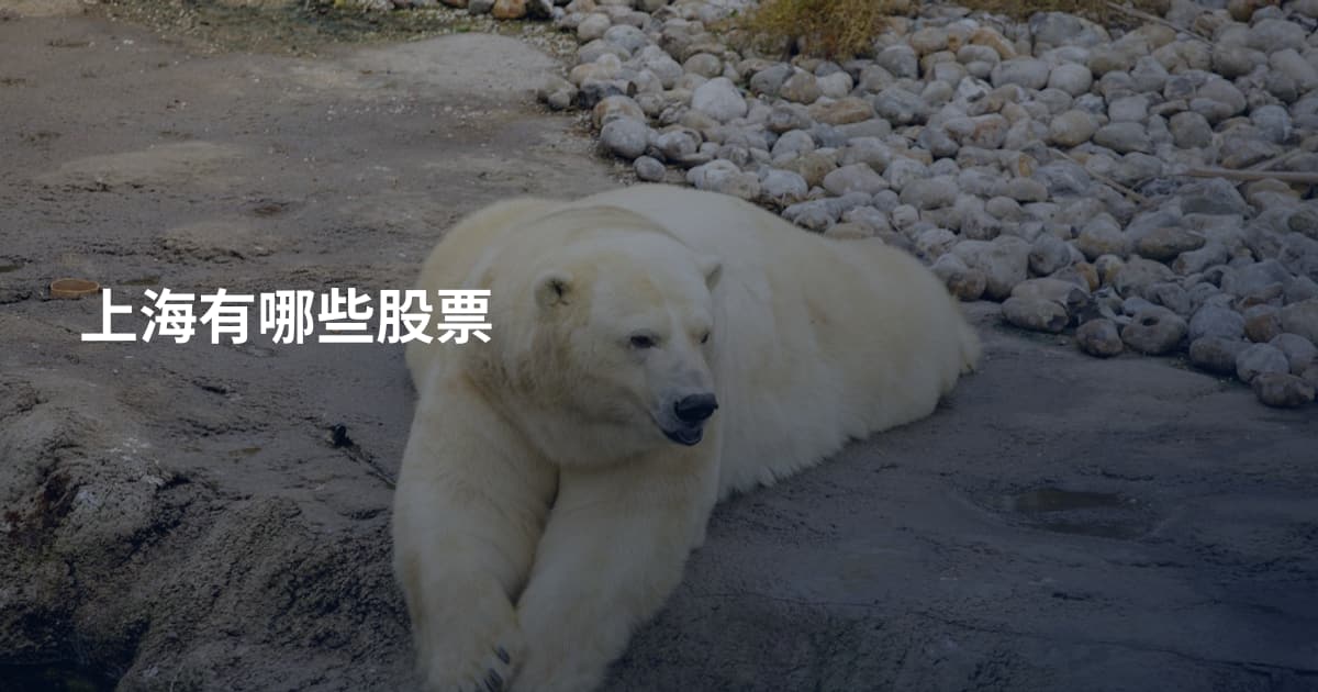 上海有哪些股票