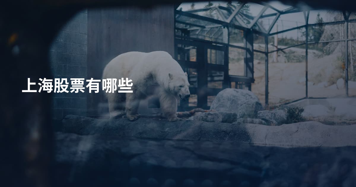 上海股票有哪些