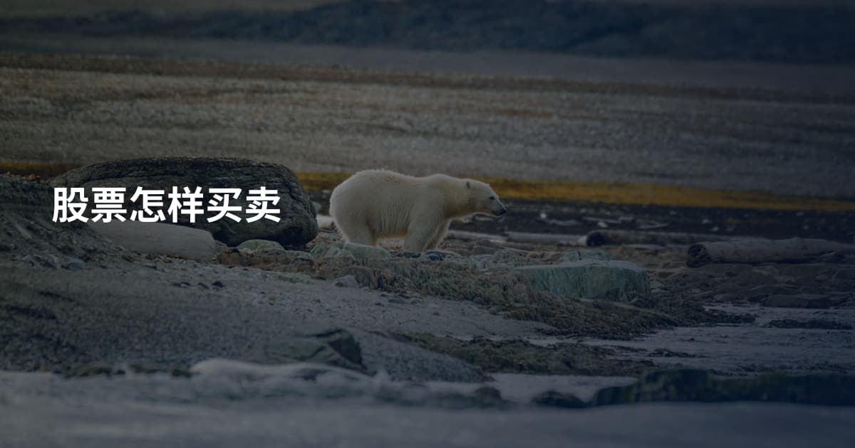 股票怎样买卖