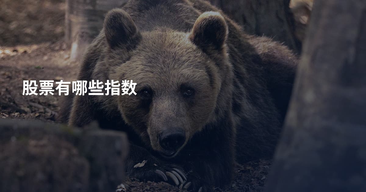 股票有哪些指数