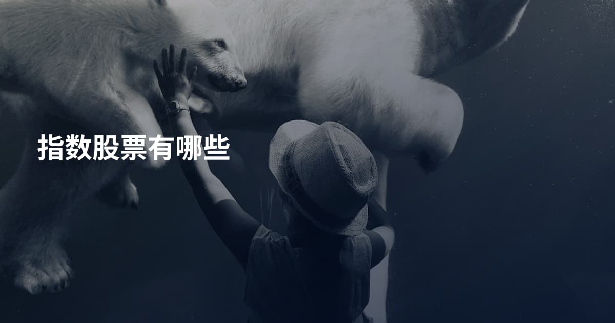 指数股票有哪些