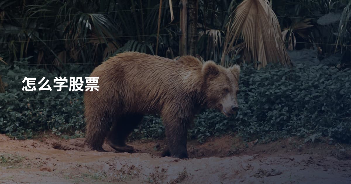 怎么学股票