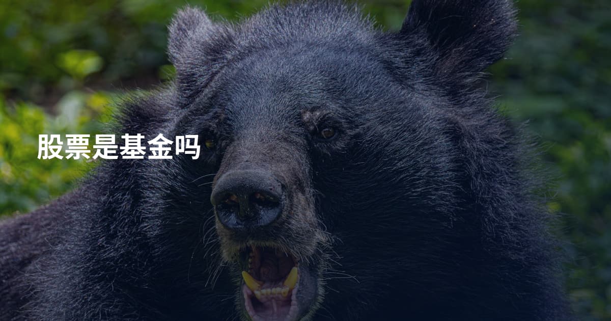 股票是基金吗
