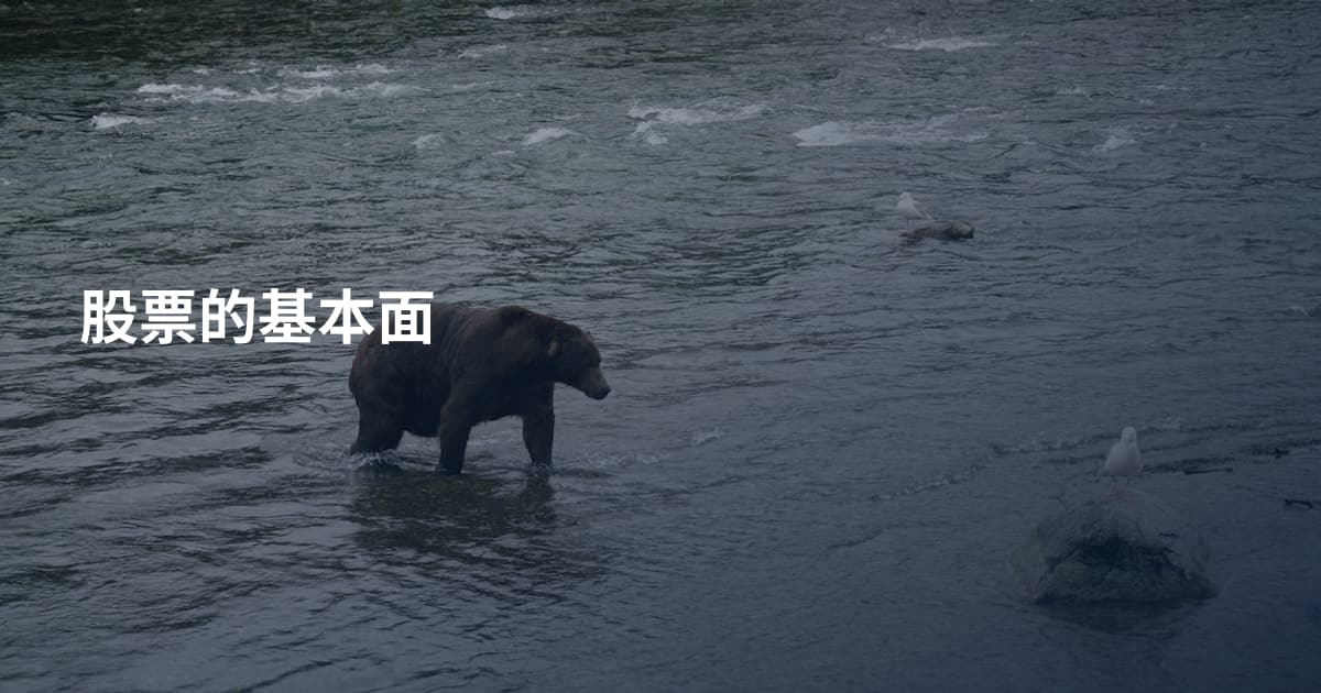 股票的基本面