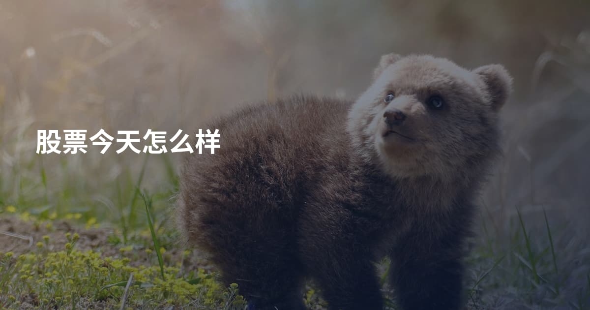 股票今天怎么样