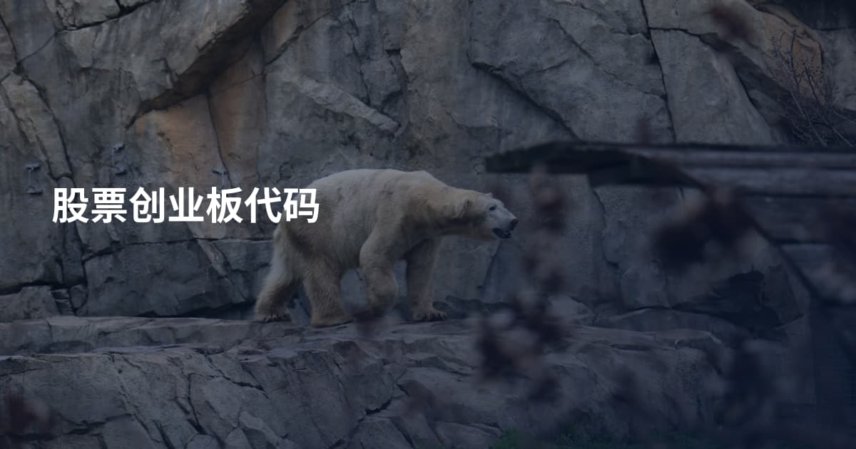 股票创业板代码