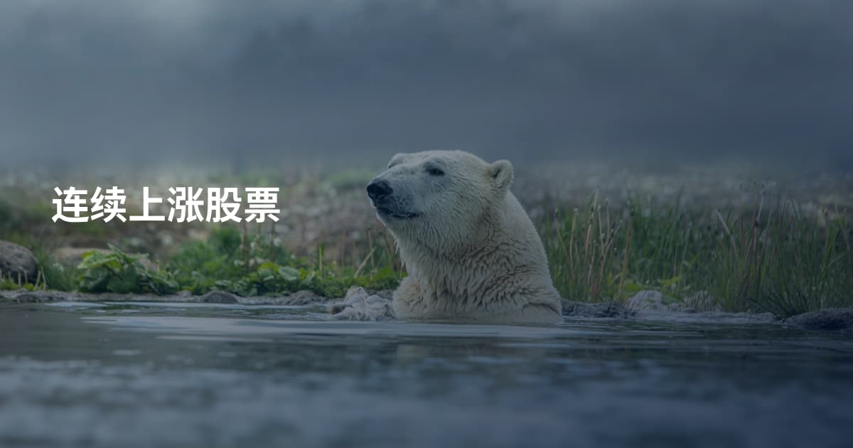 连续上涨股票