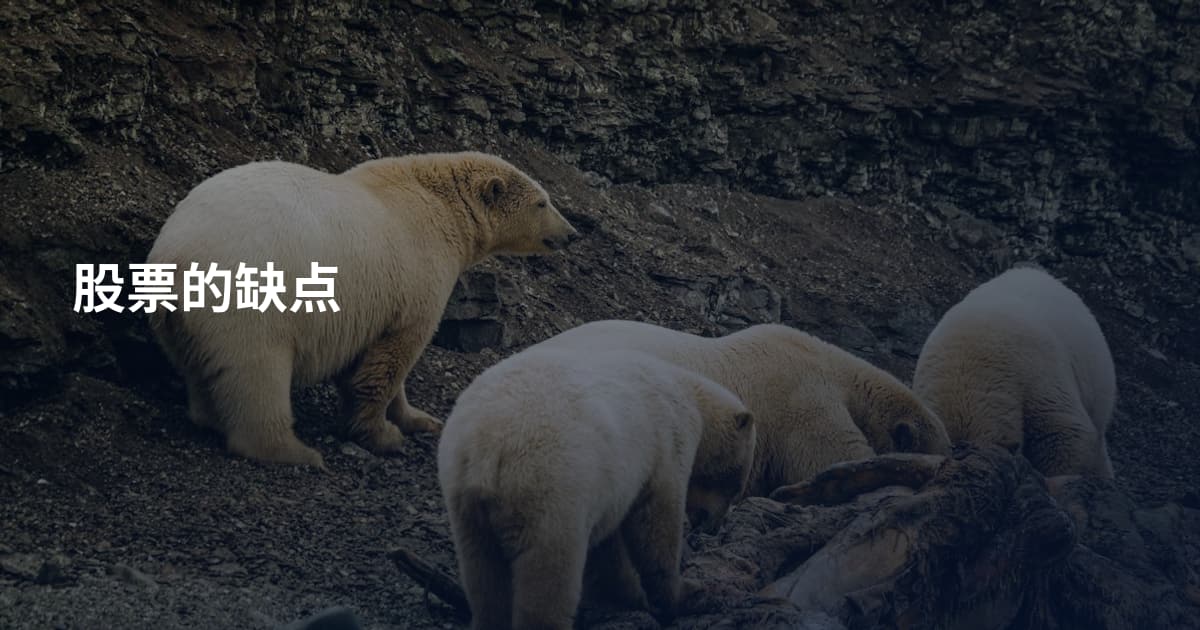股票的缺点