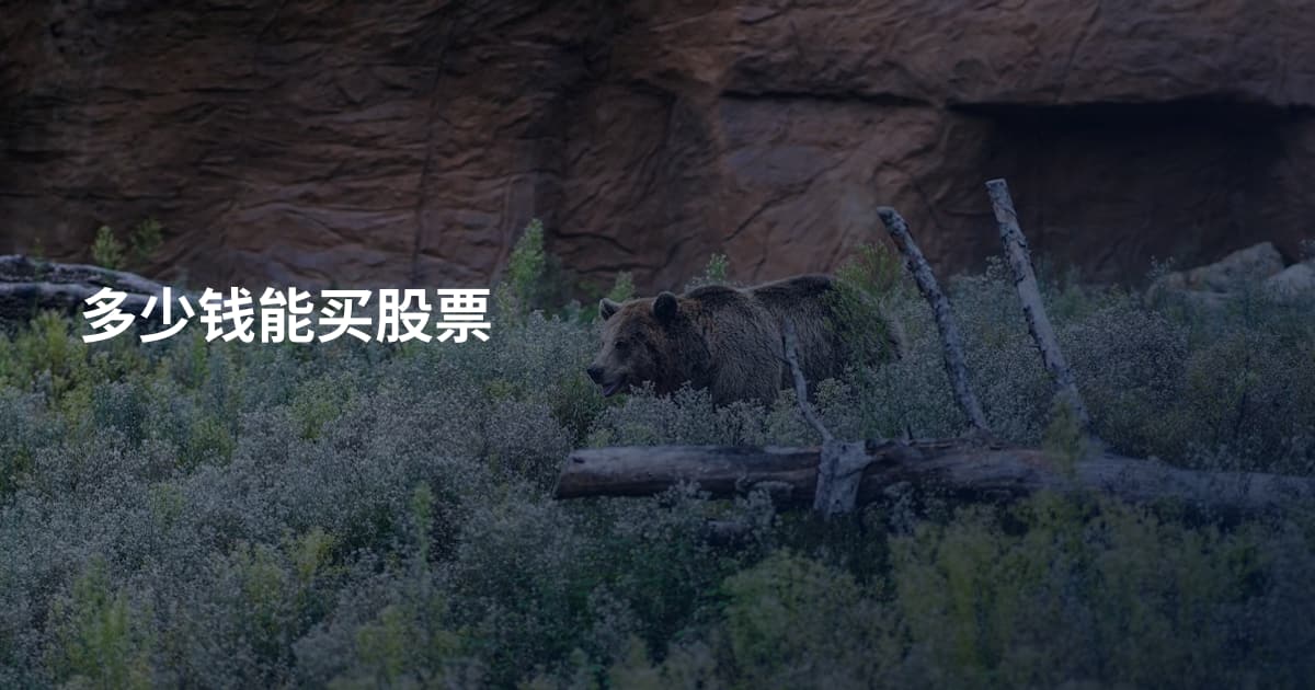 多少钱能买股票