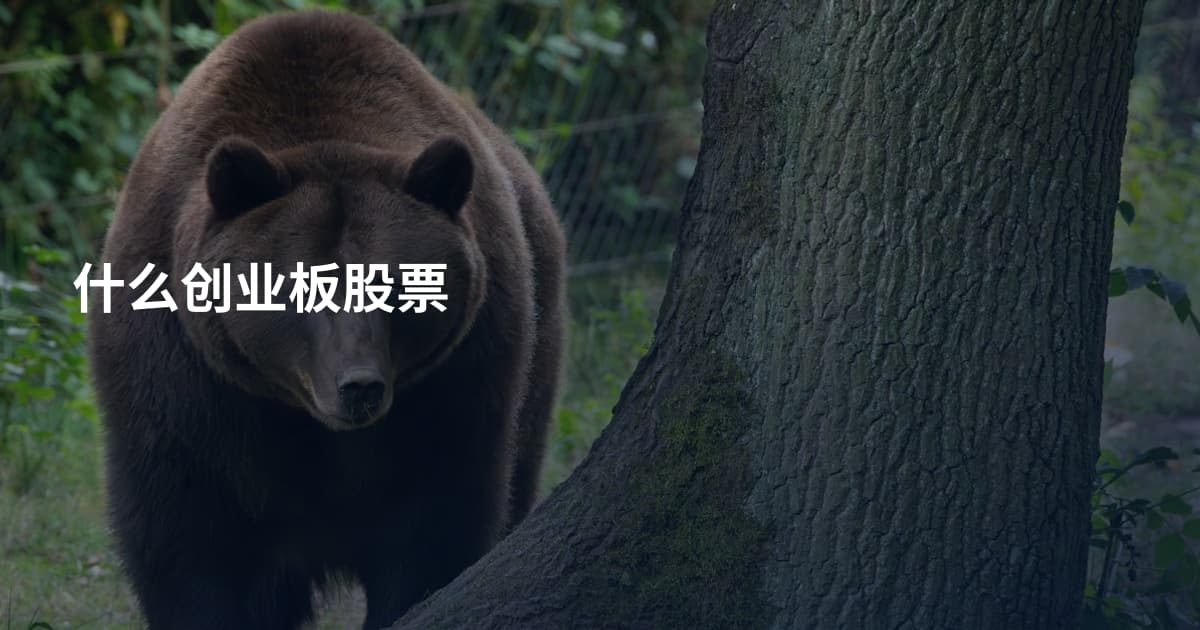 什么创业板股票