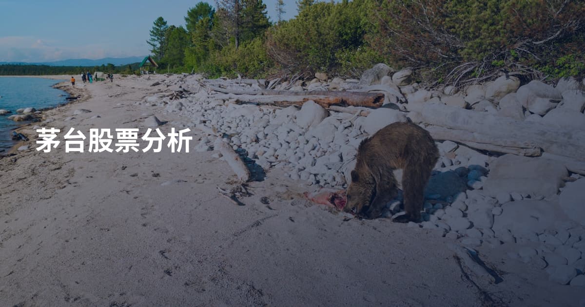 茅台股票分析