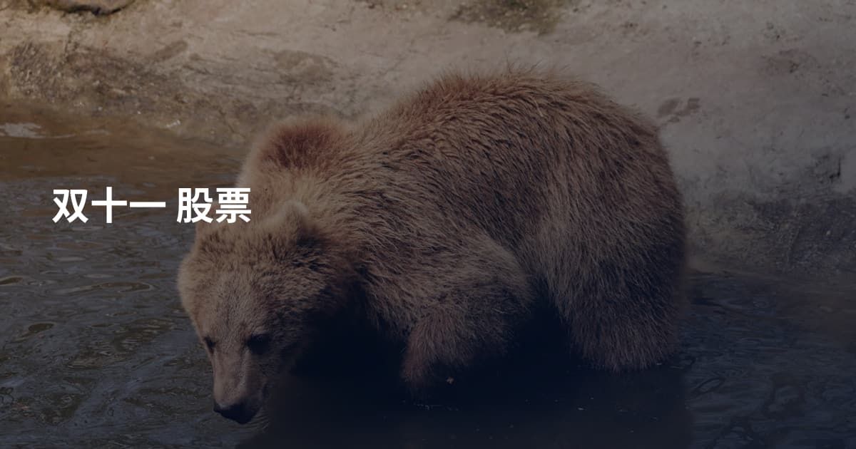 双十一 股票