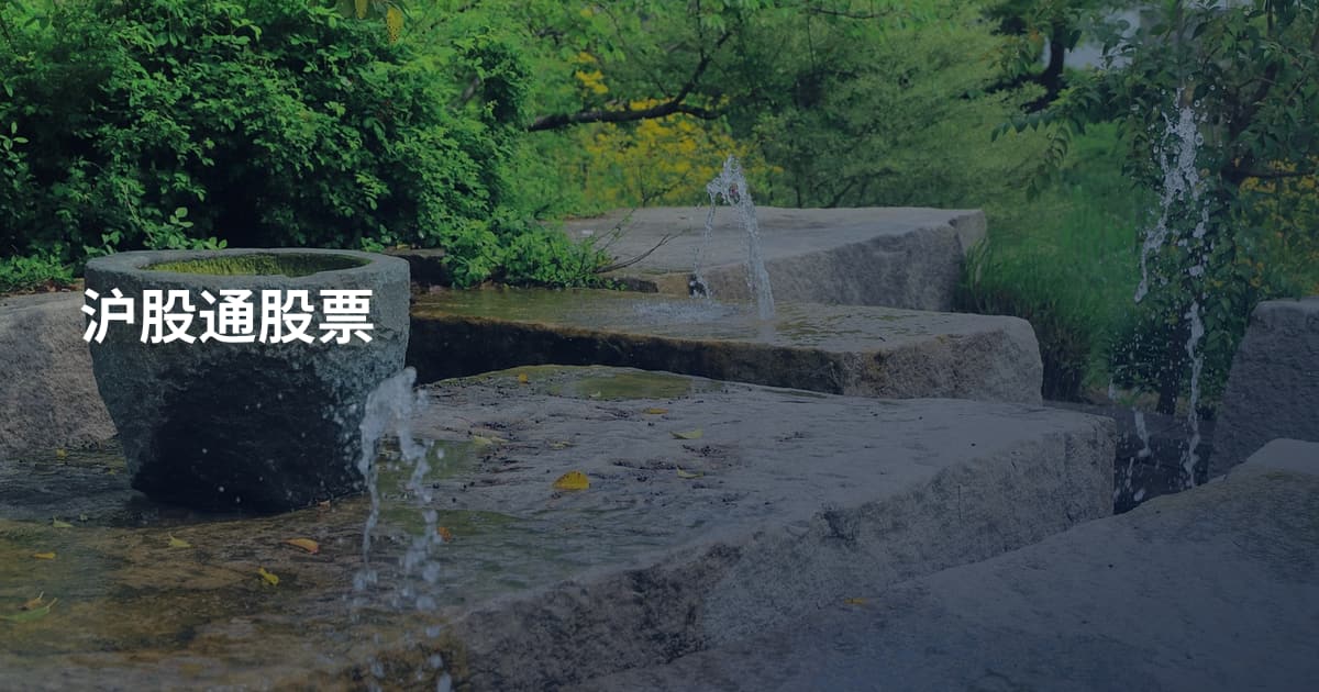 沪股通股票