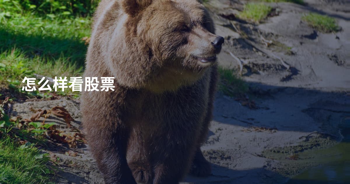 怎么样看股票