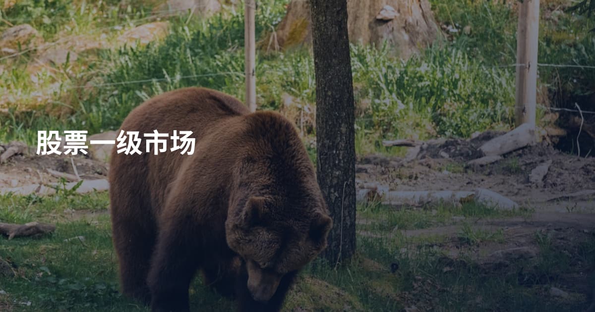 股票一级市场