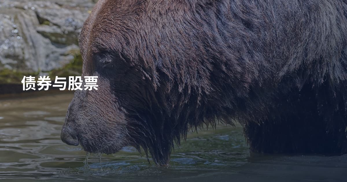 债券与股票