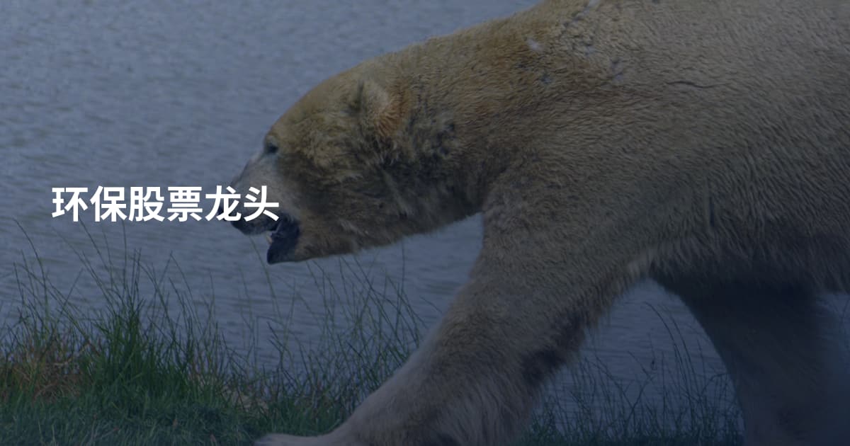 环保股票龙头