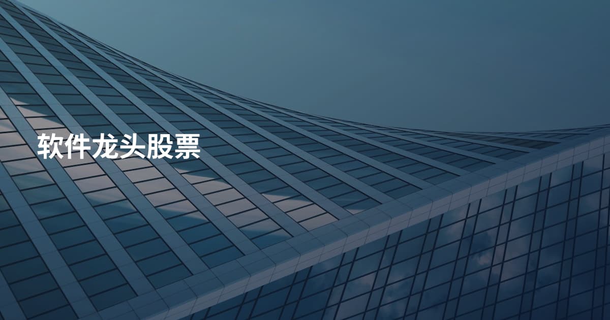软件龙头股票