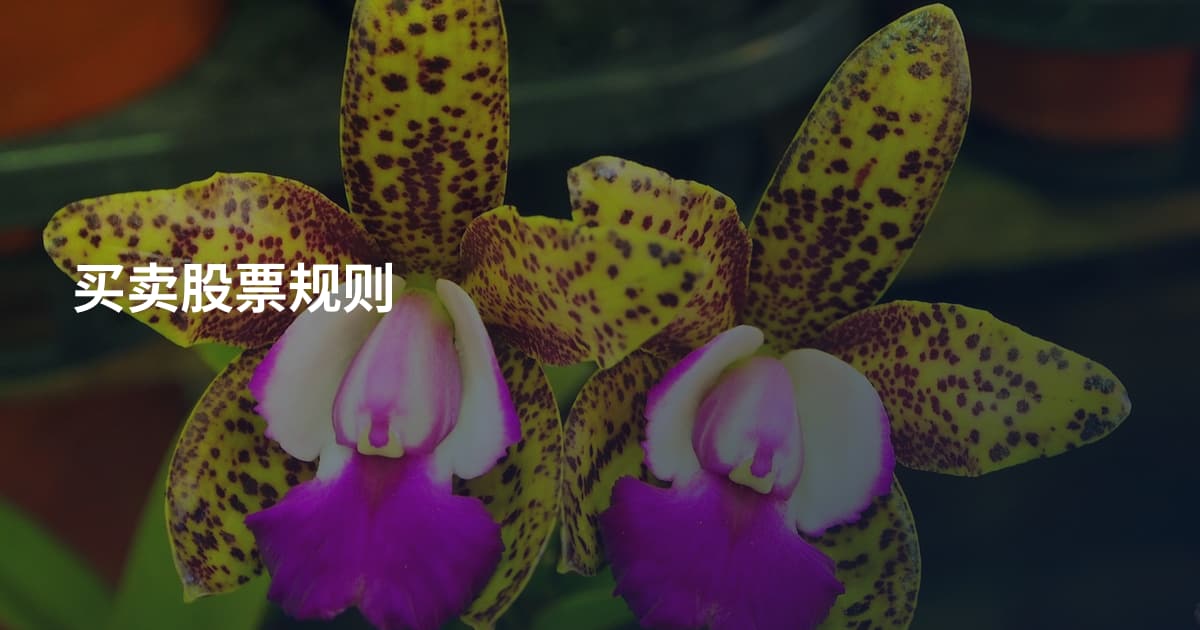买卖股票规则