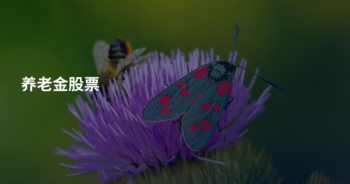 养老金股票