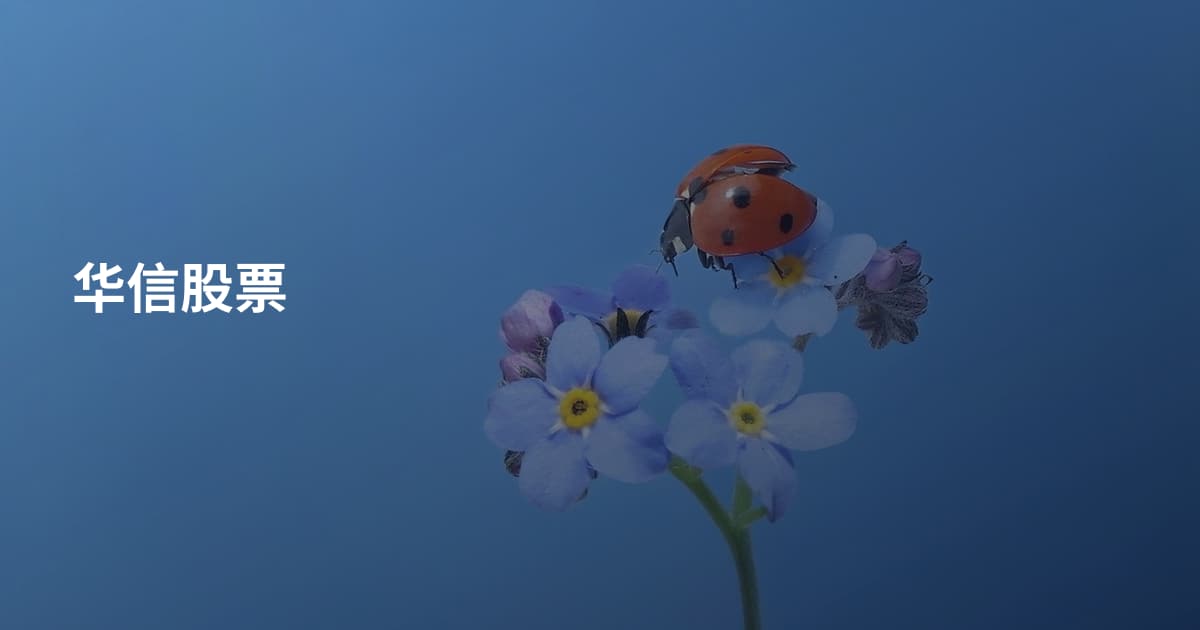 华信股票