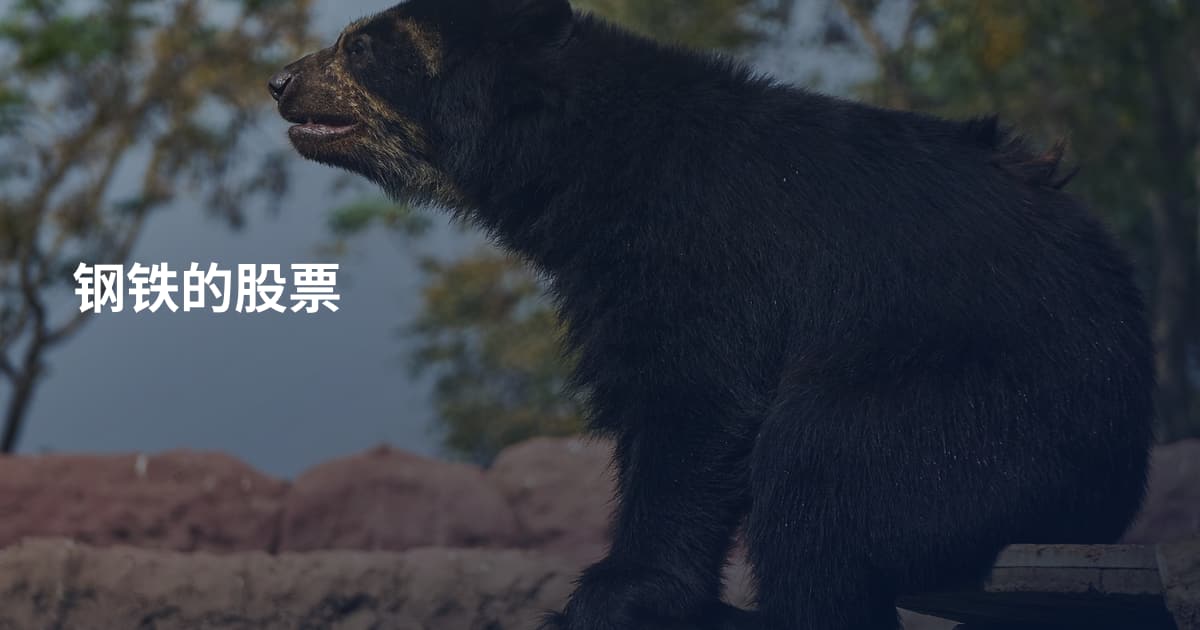 钢铁的股票