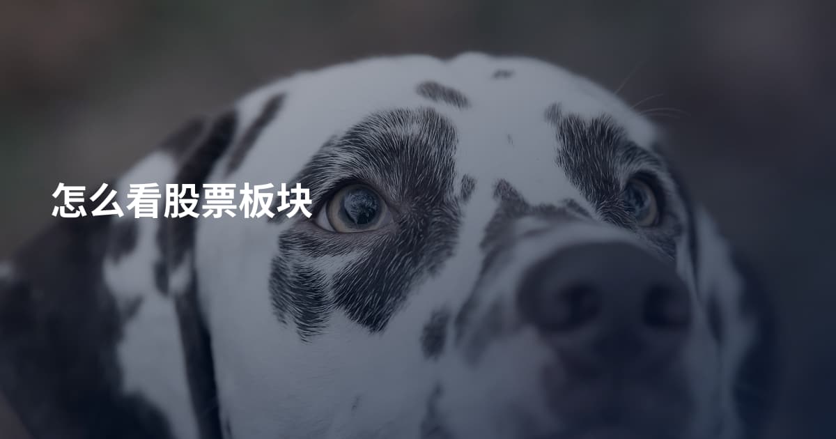 怎么看股票板块
