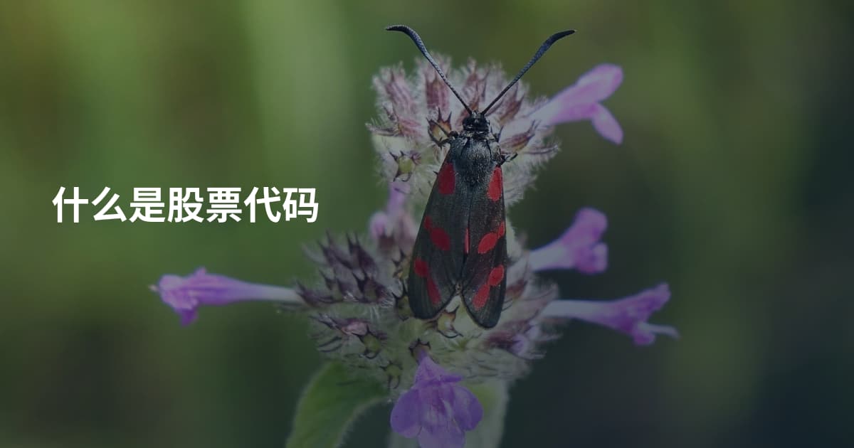 什么是股票代码