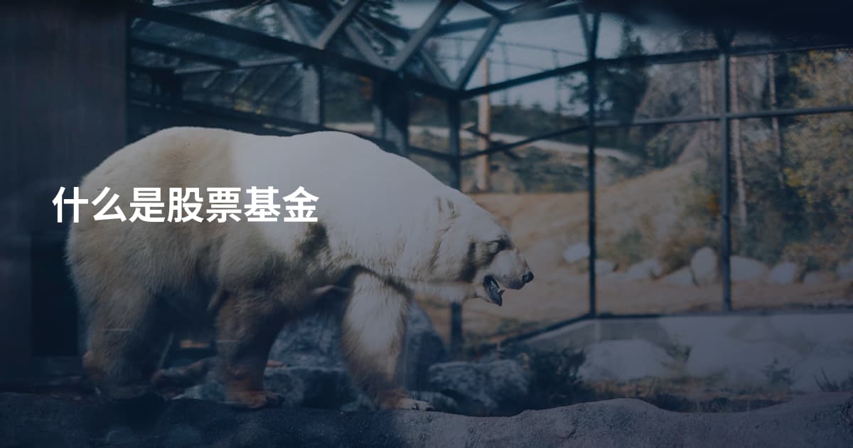 什么是股票基金