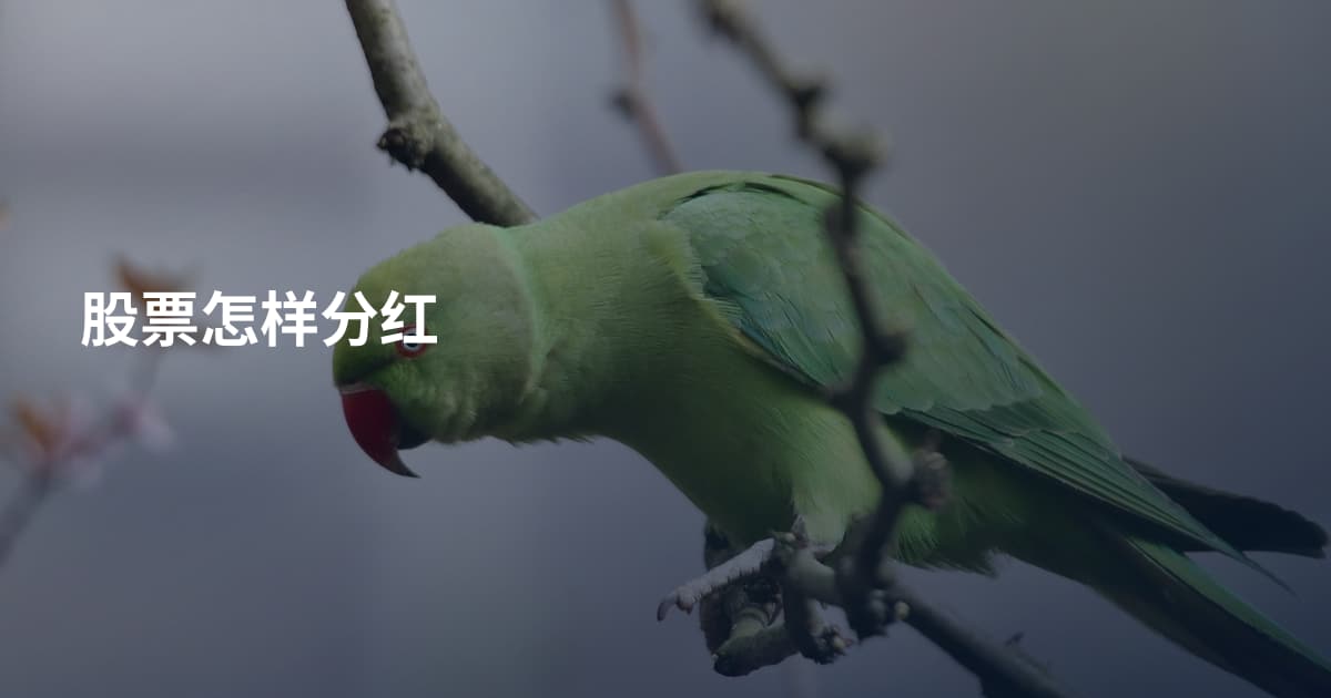 股票怎样分红