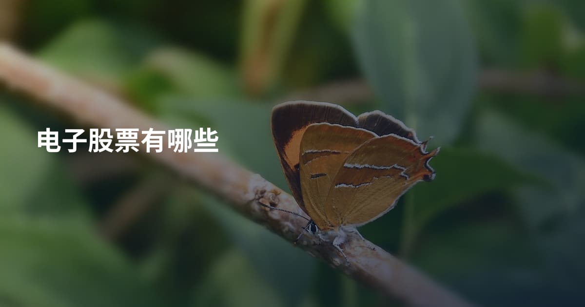 电子股票有哪些