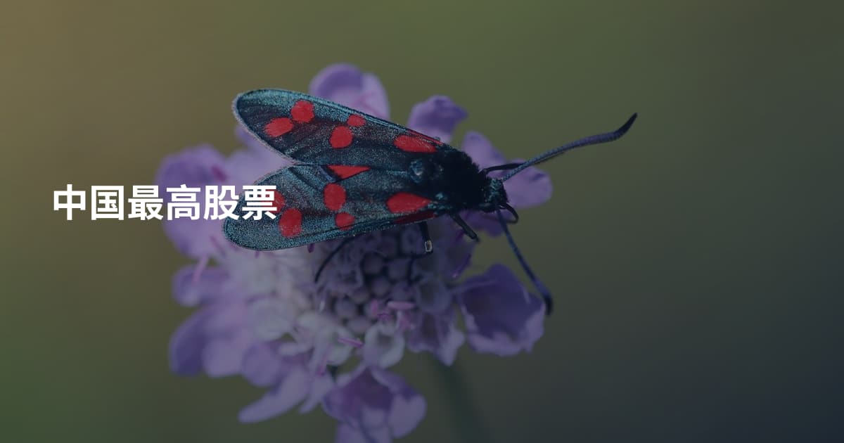 中国最高股票