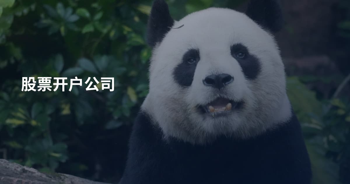 股票开户公司
