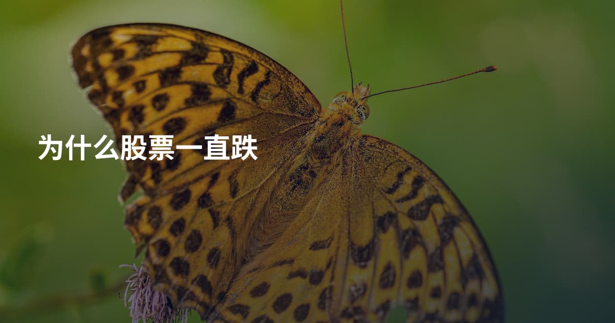为什么股票一直跌