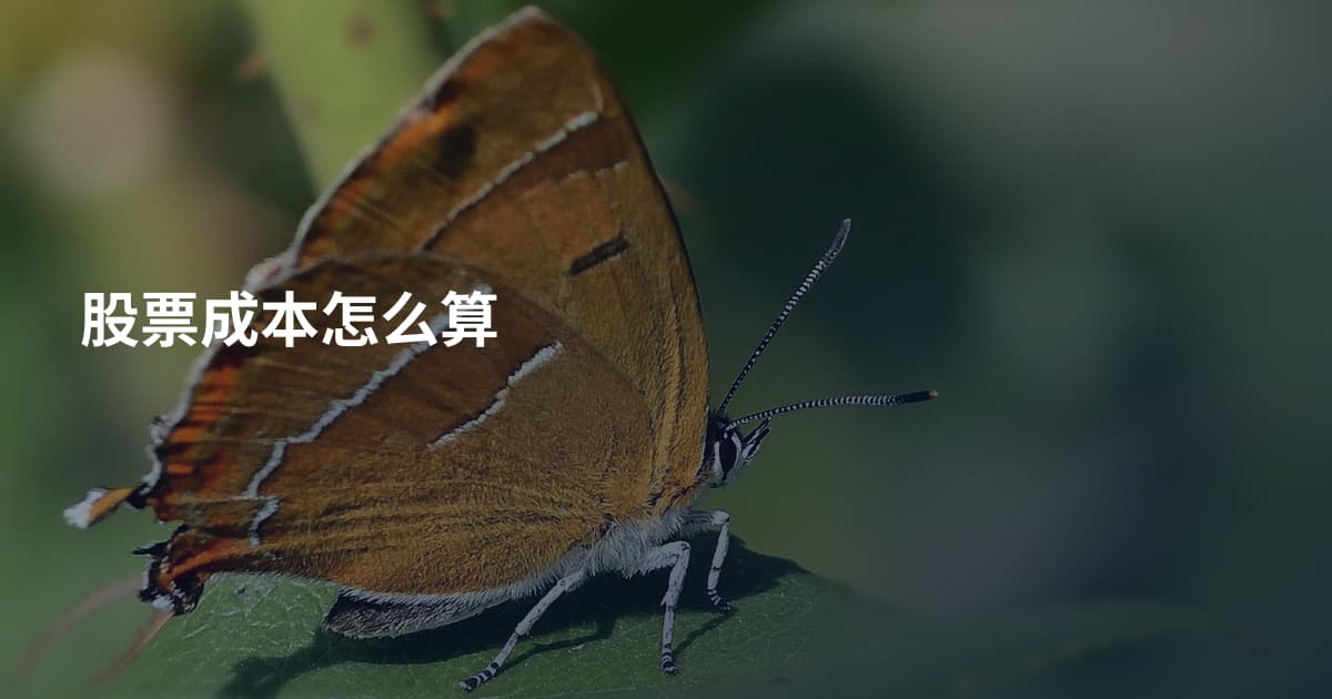 股票成本怎么算