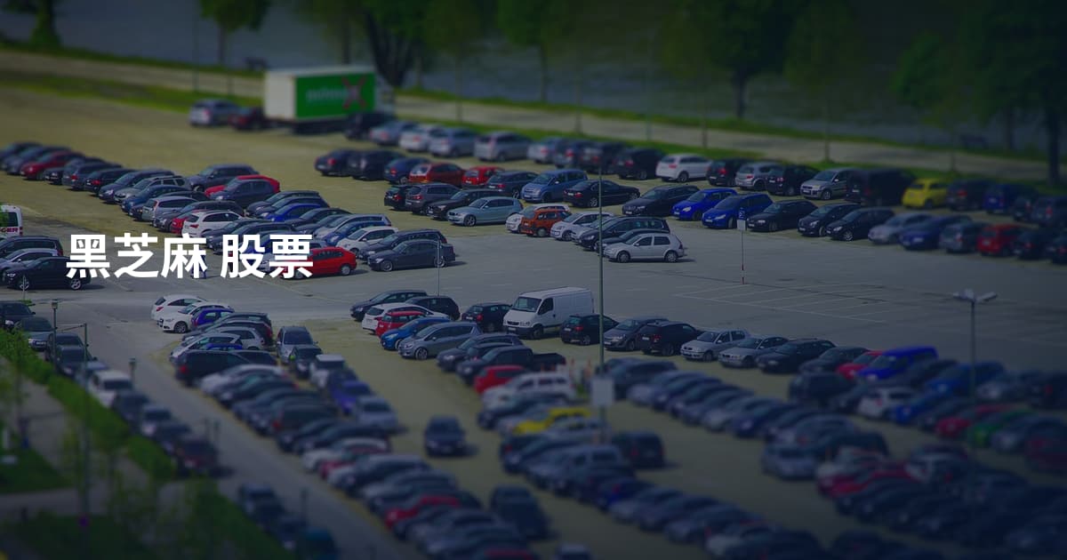 黑芝麻 股票