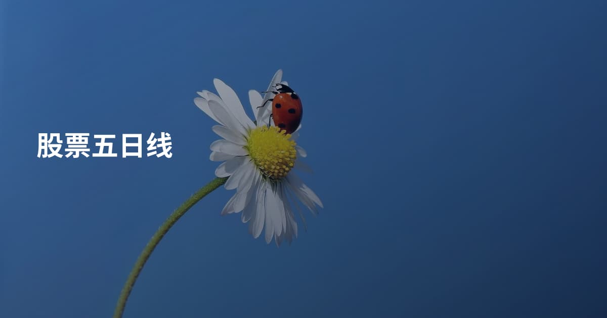 股票五日线