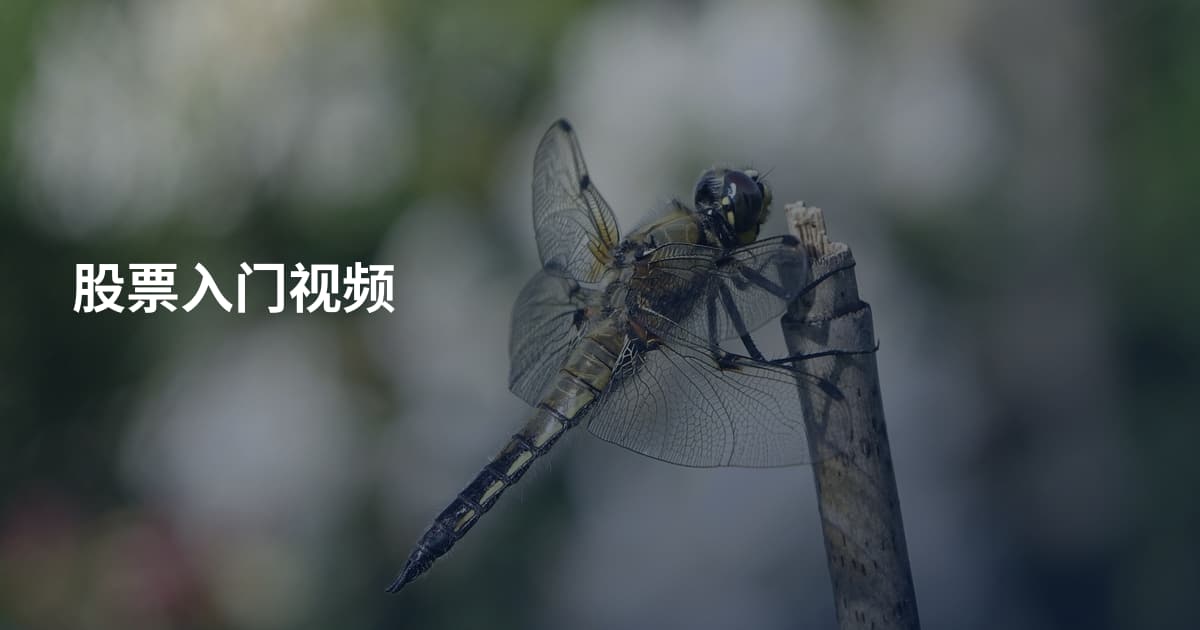 股票入门视频