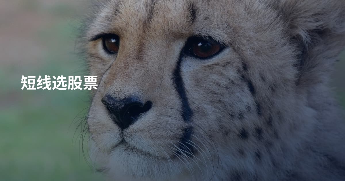 短线选股票