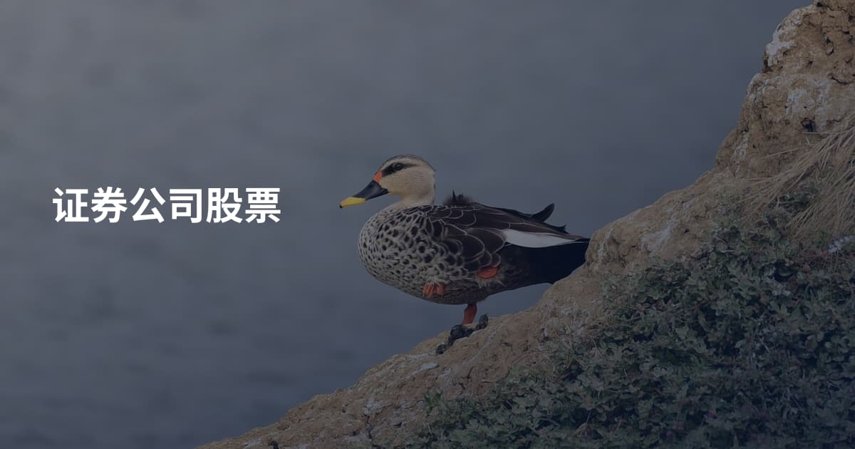 证券公司股票
