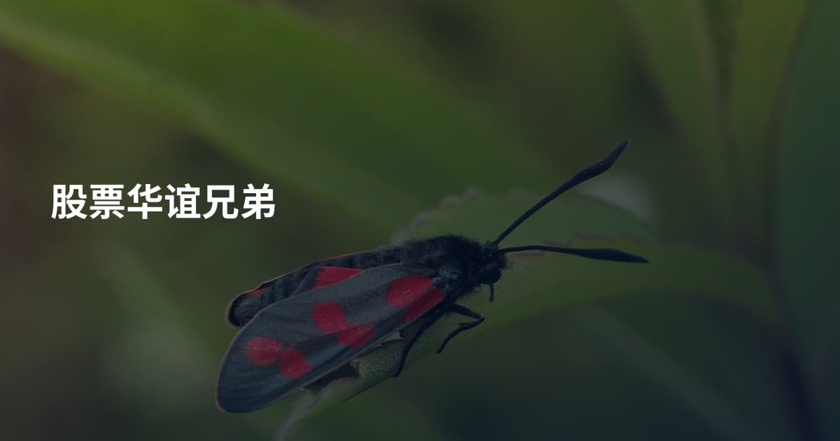 股票华谊兄弟
