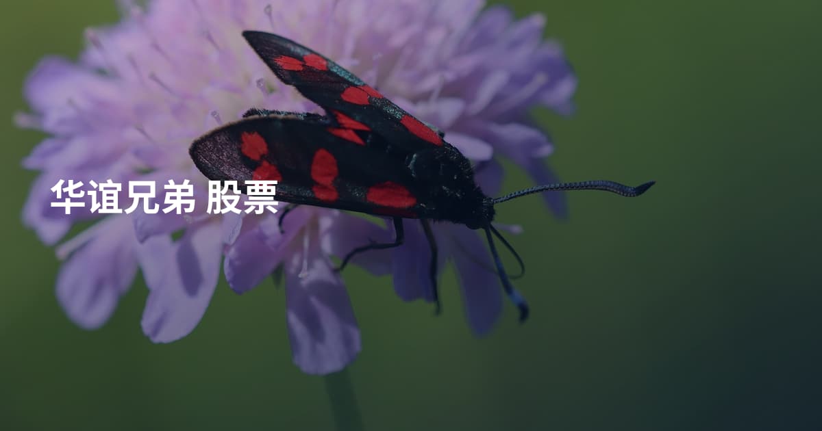 华谊兄弟 股票