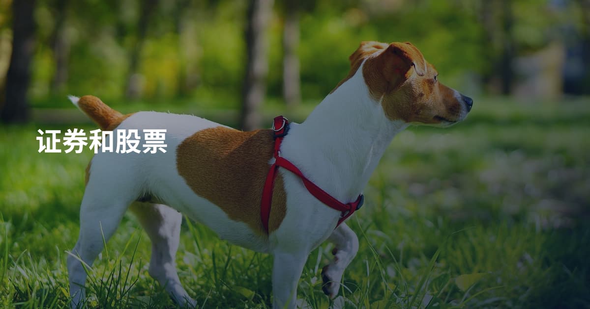 证券和股票