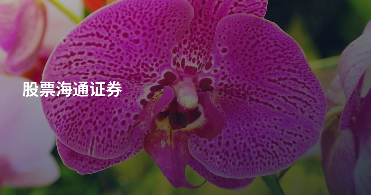 股票海通证券