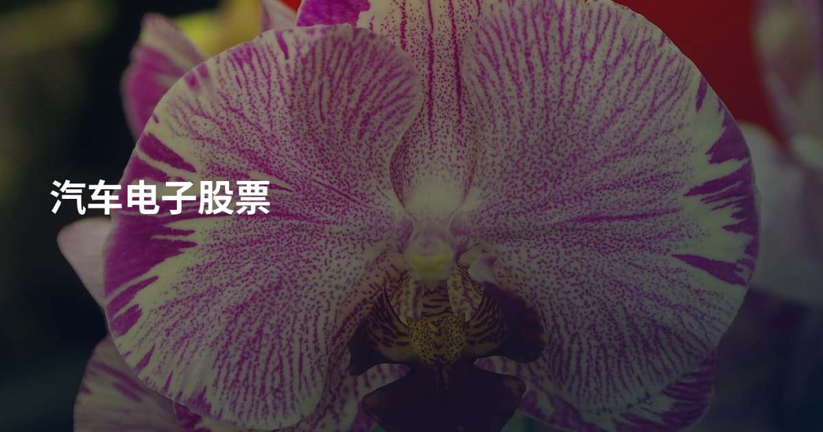 汽车电子股票