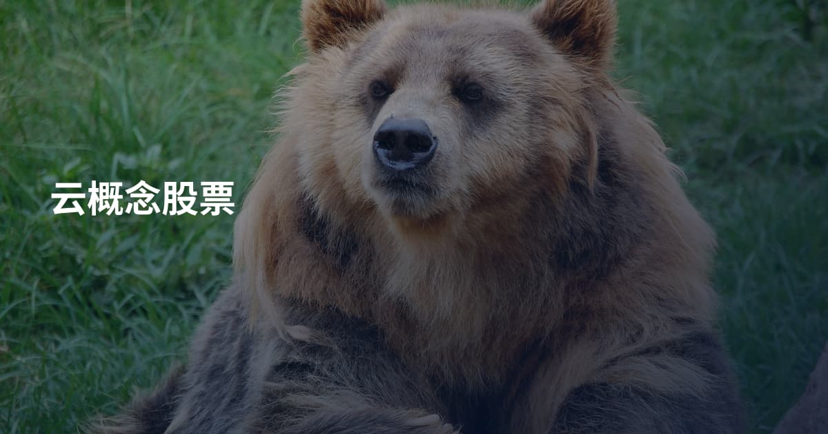 云概念股票